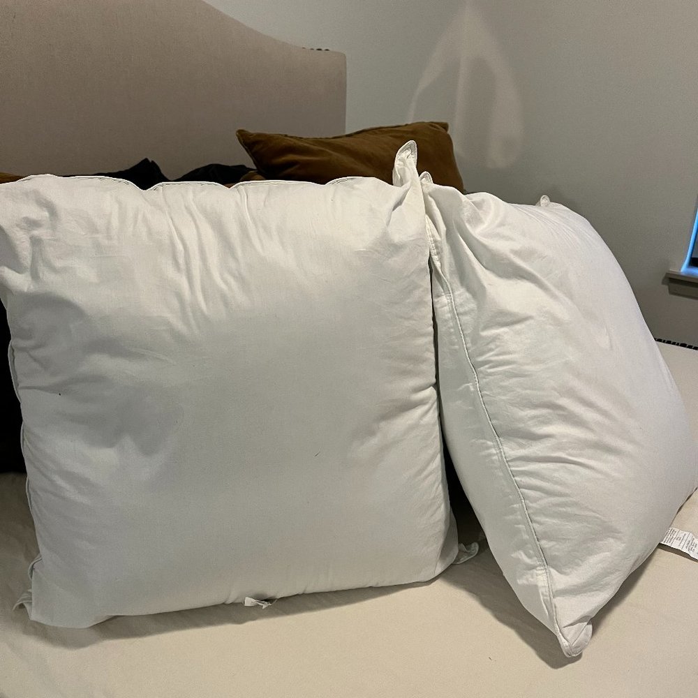 Martha Stewart Euro Square 26 x 26 Inch Feather Pillows (Set of 2)